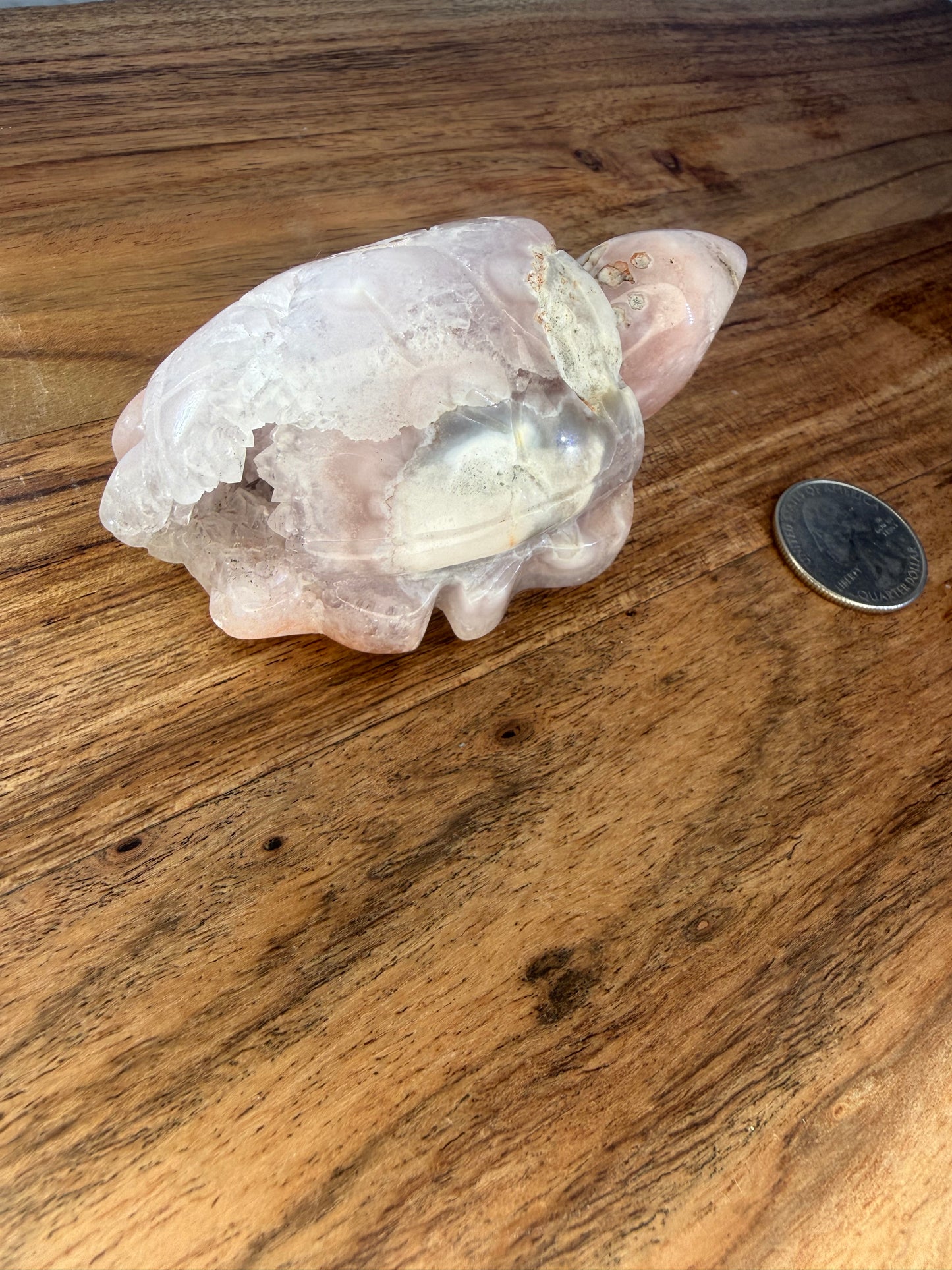 Druzy Pink Amethyst SeaTurtle