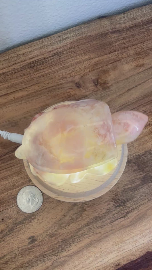 Pink Amethyst SeaTurtle