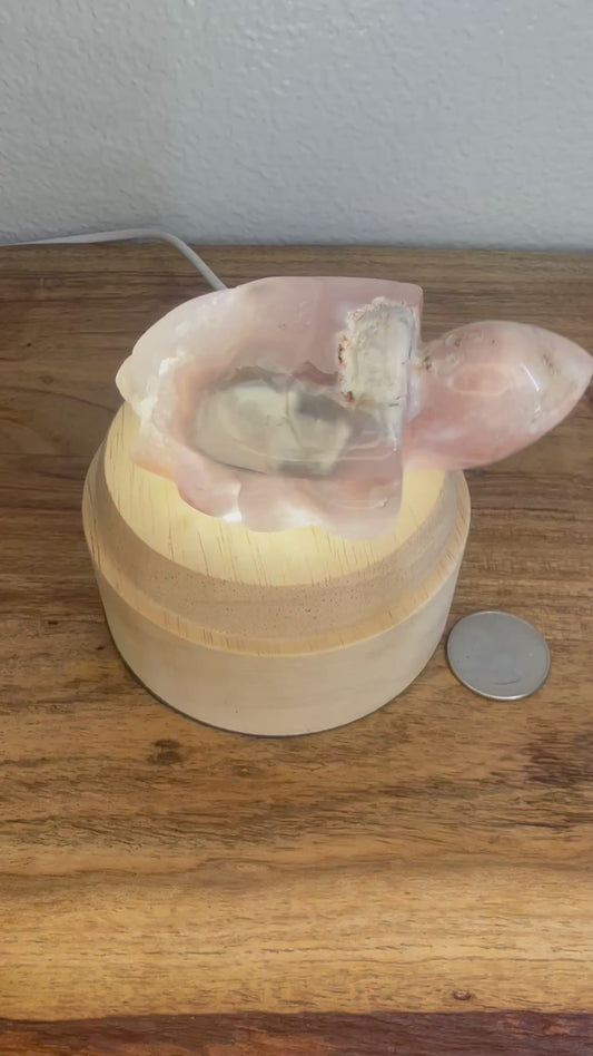 Druzy Pink Amethyst SeaTurtle