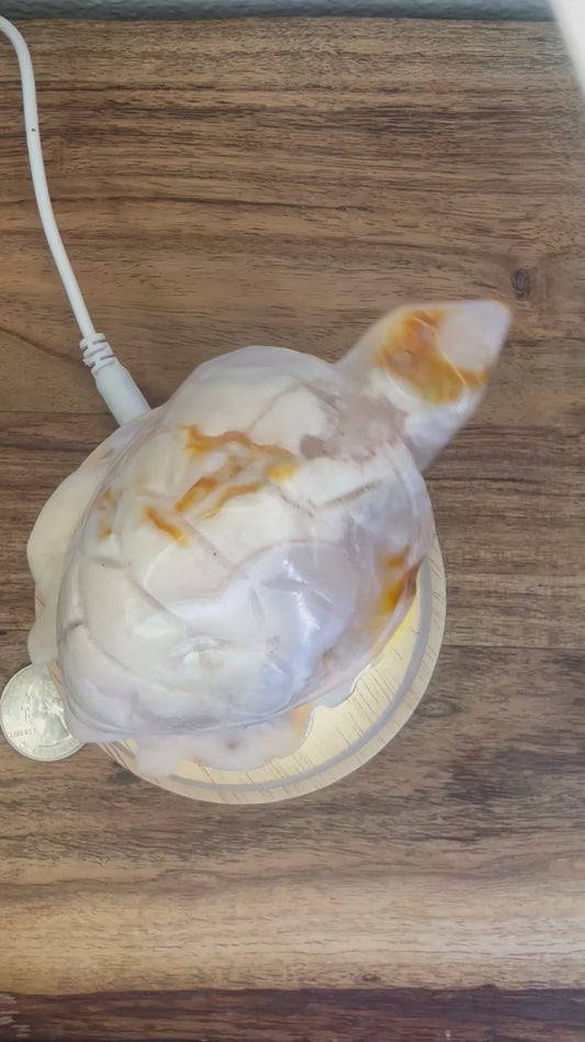 Druzy Pink Amethyst SeaTurtle